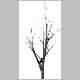 Albero030.gif