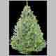 Albero054.gif