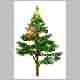 Albero071.gif
